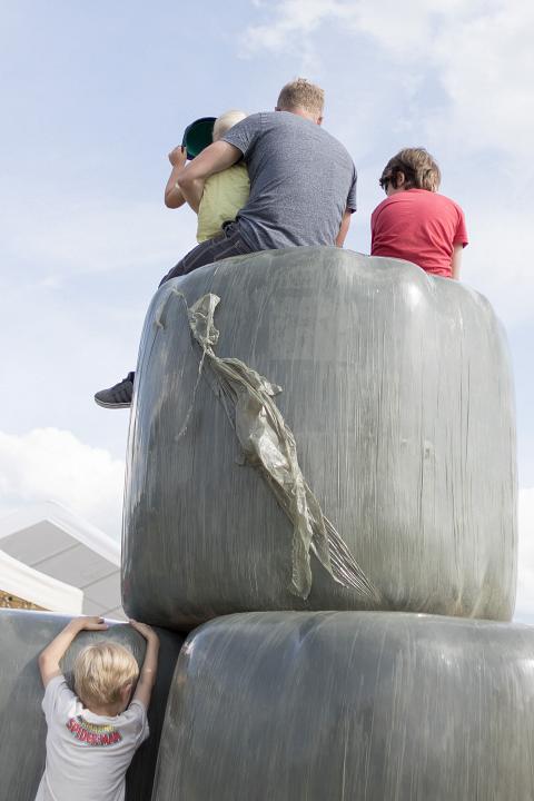 Bild: 20220625-170544.jpg